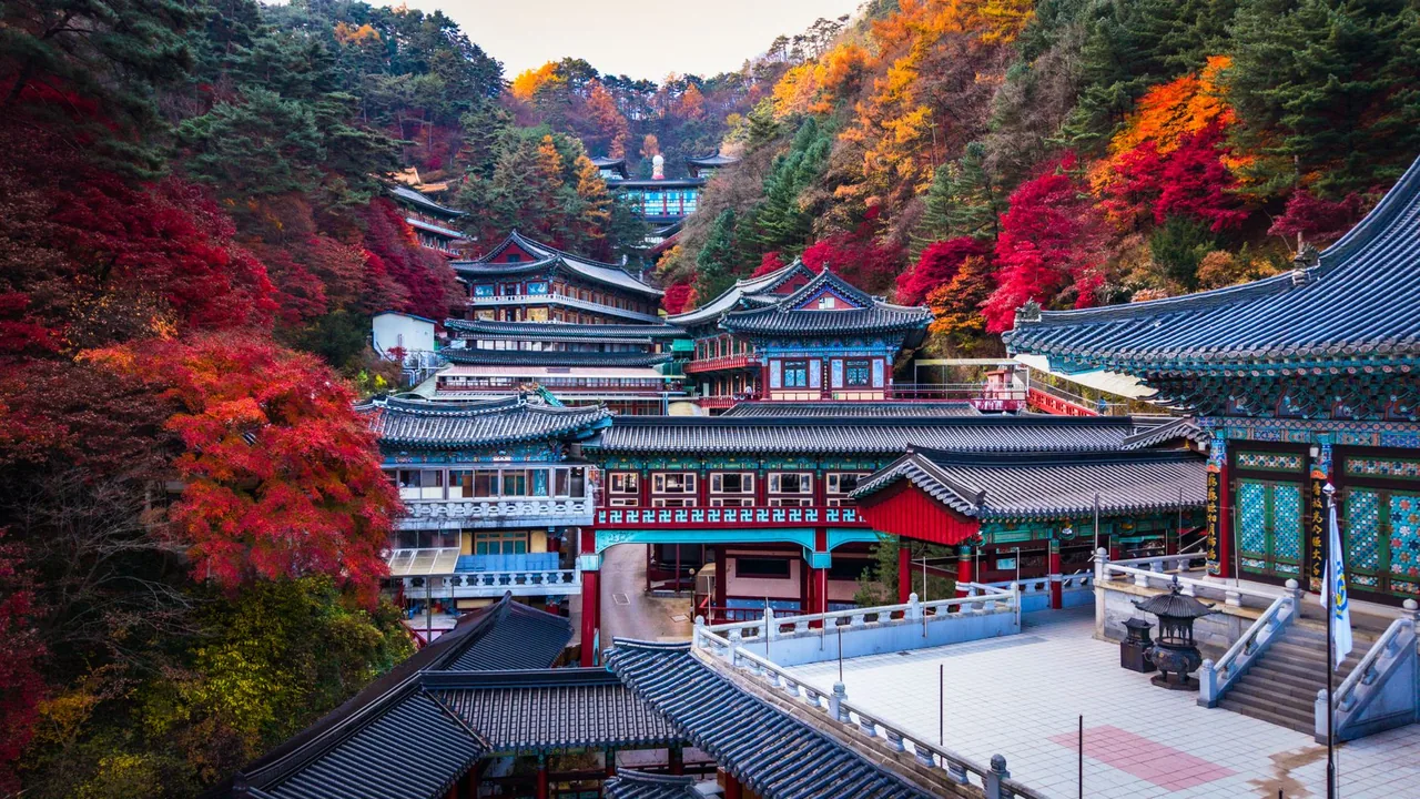 Garden of morning calm light festival — Korea travel